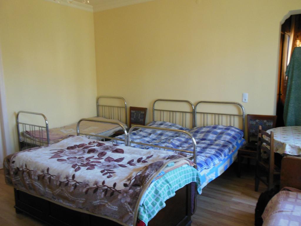 Medico And Suliko Guest House Kutaisi Bilik gambar