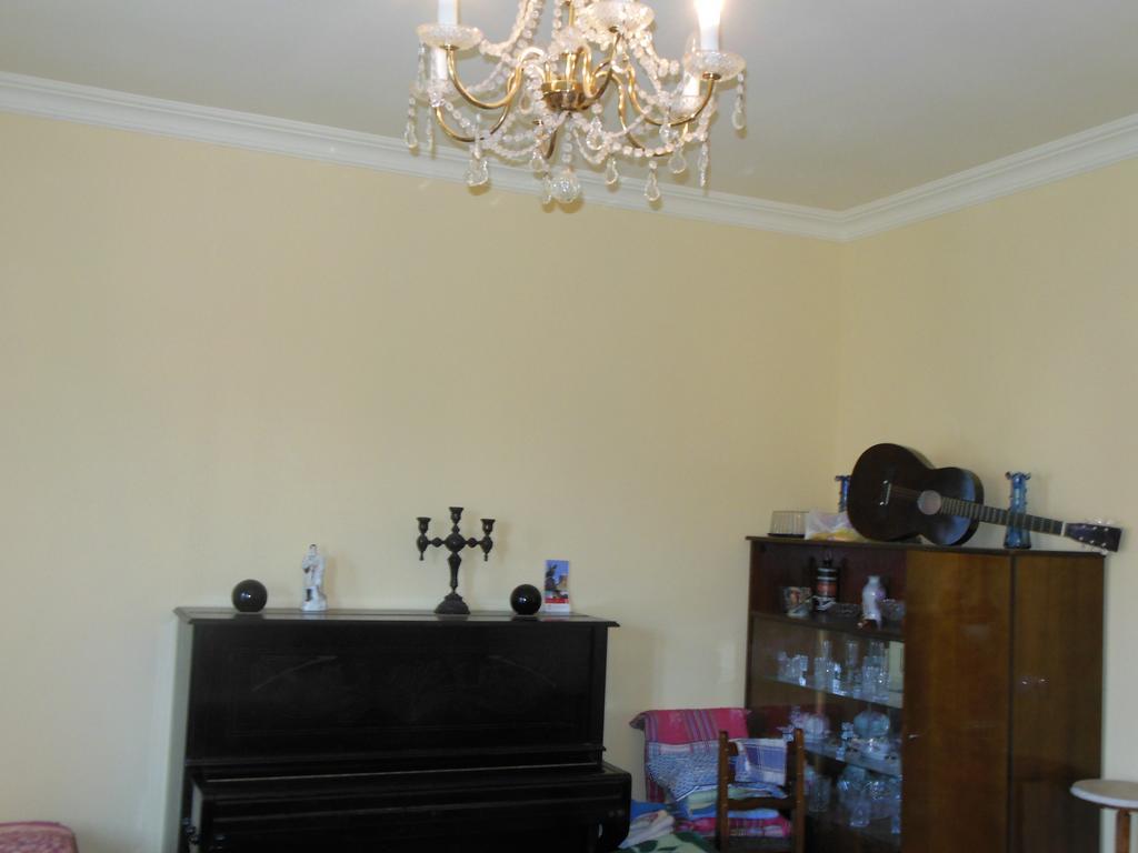 Medico And Suliko Guest House Kutaisi Bilik gambar
