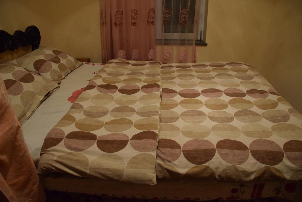 Medico And Suliko Guest House Kutaisi Luaran gambar